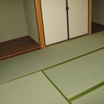 IMG_0560